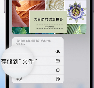 大东apple维修中心分享iPhone文件应用中存储和找到下载文件