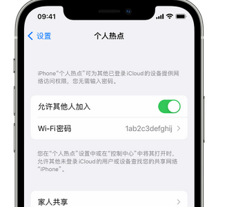 大东apple服务站点分享iPhone上个人热点丢失了怎么办 