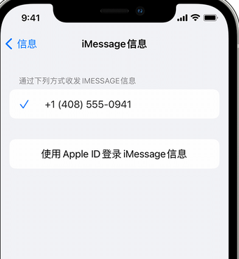 大东apple维修iPhone上无法正常发送iMessage信息