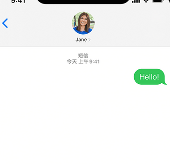 大东apple维修iPhone上无法正常发送iMessage信息