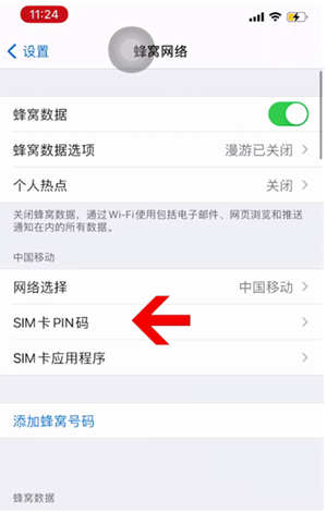 大东苹果14维修网分享如何给iPhone14的SIM卡设置密码 