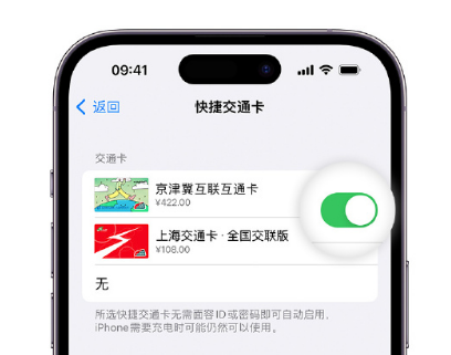 大东apple维修点分享iPhone上更换Apple Pay快捷交通卡手绘卡面 