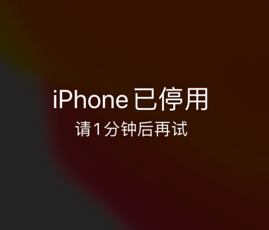 大东苹果手机维修分享:iPhone 显示“不可用”或“已停用”怎么办？还能保留数据吗？ 