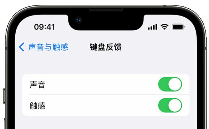 大东苹果手机维修分享iPhone 14触感键盘使用方法 