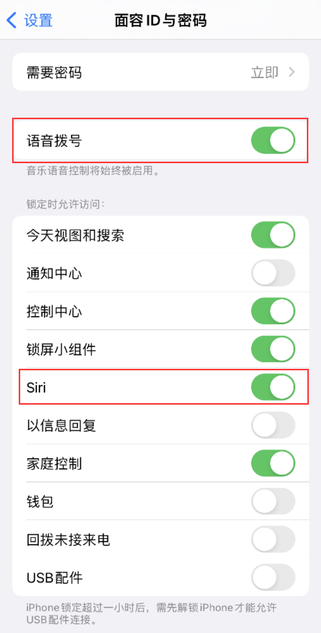 大东苹果维修网点分享不解锁 iPhone 的情况下通过 Siri 拨打电话的方法 