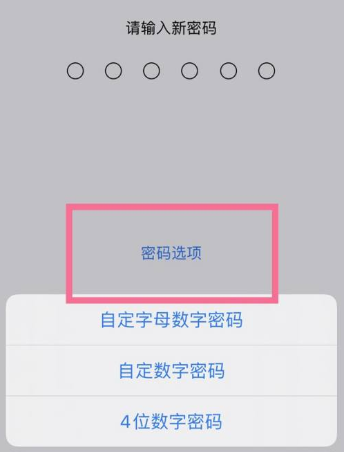 大东苹果14维修分享iPhone 14plus设置密码的方法 