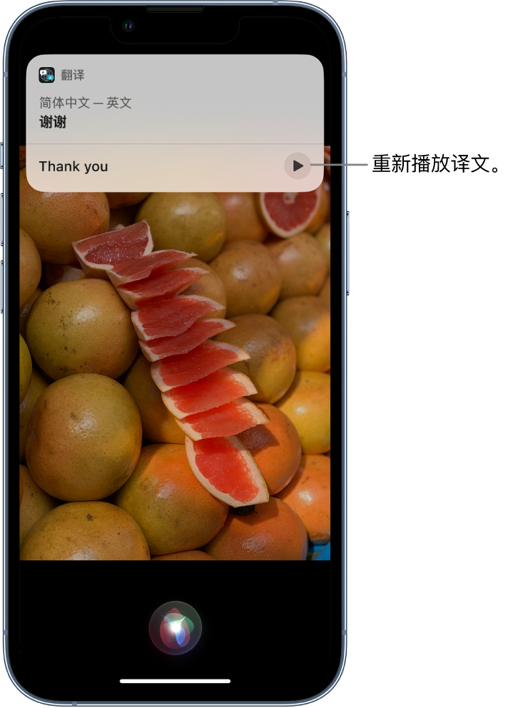 大东苹果14维修分享 iPhone 14 机型中使用 Siri：了解 Siri 能帮你做什么 