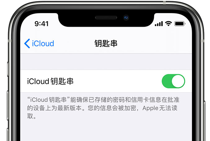 大东苹果手机维修分享在 iPhone 上开启 iCloud 钥匙串之后会储存哪些信息 