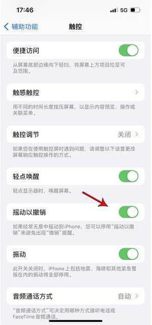 大东苹果手机维修分享iPhone手机如何设置摇一摇删除文字 